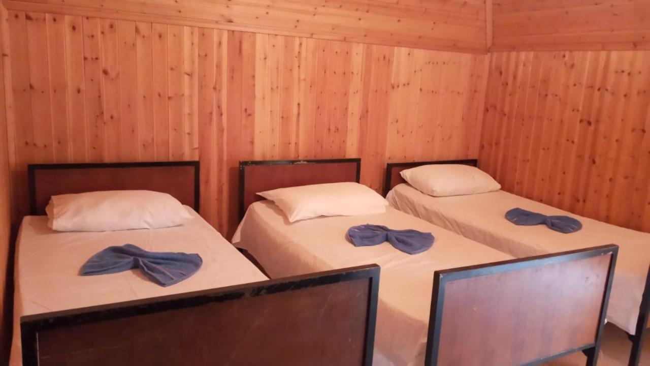 Отель Bujtina Carku Тети Экстерьер фото