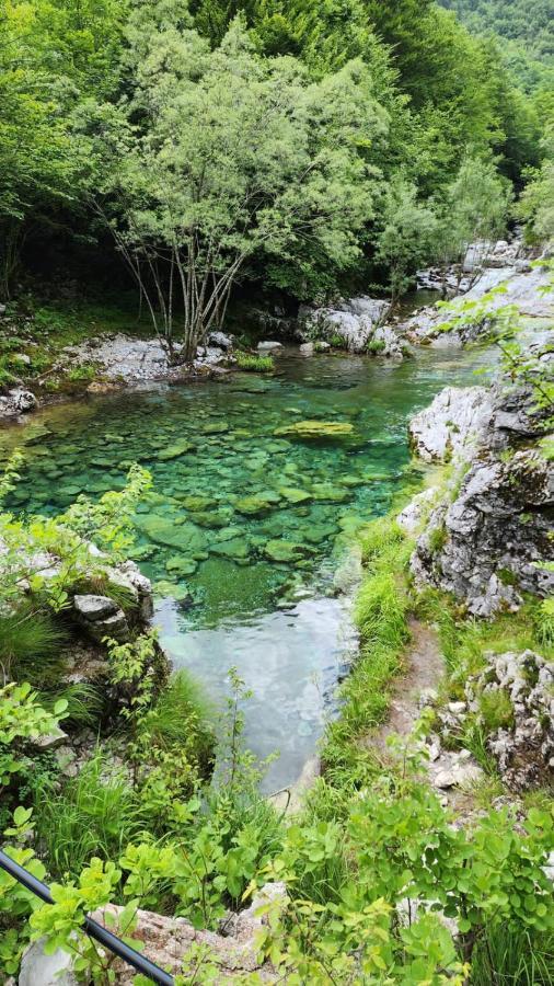 Отель Bujtina Carku Тети Экстерьер фото