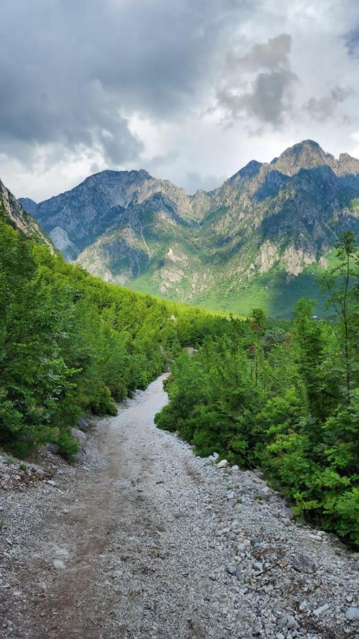 Отель Bujtina Carku Тети Экстерьер фото